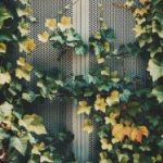 n396wdcz0m